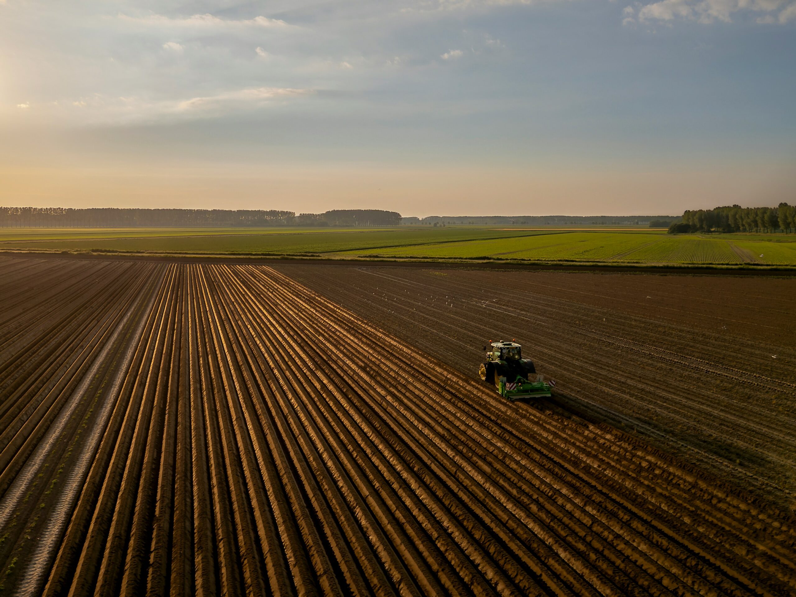 Soybean Exports